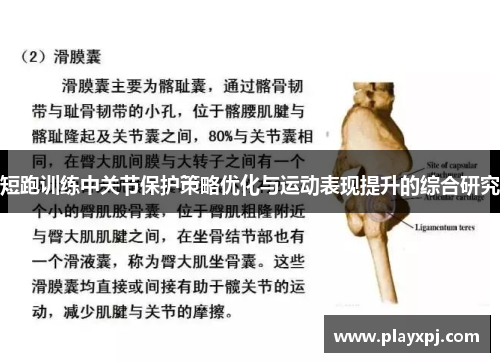 短跑训练中关节保护策略优化与运动表现提升的综合研究
