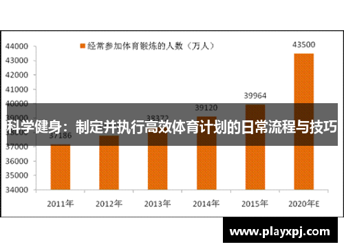 科学健身：制定并执行高效体育计划的日常流程与技巧