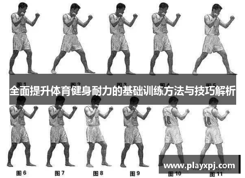 全面提升体育健身耐力的基础训练方法与技巧解析